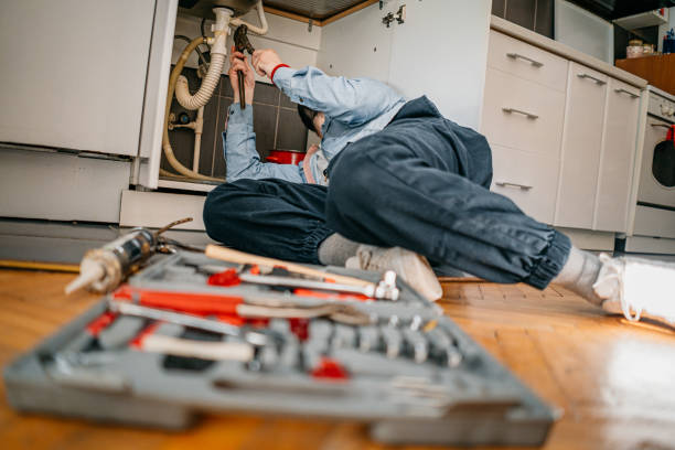 Best Toilet Repair Services  in Eddyville, IA